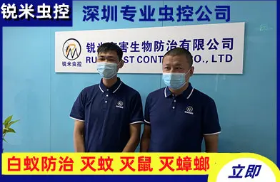 深圳锐米有害生物防治·深圳正规消杀公司，专业灭蟑螂，老鼠清理，老鼠消杀，灭老鼠除鼠抓老鼠，白蚁防治，